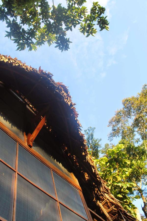Shimiyacu Amazon Lodge Tarapoto Esterno foto