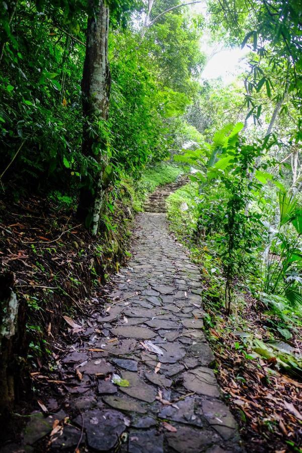 Shimiyacu Amazon Lodge Tarapoto Esterno foto