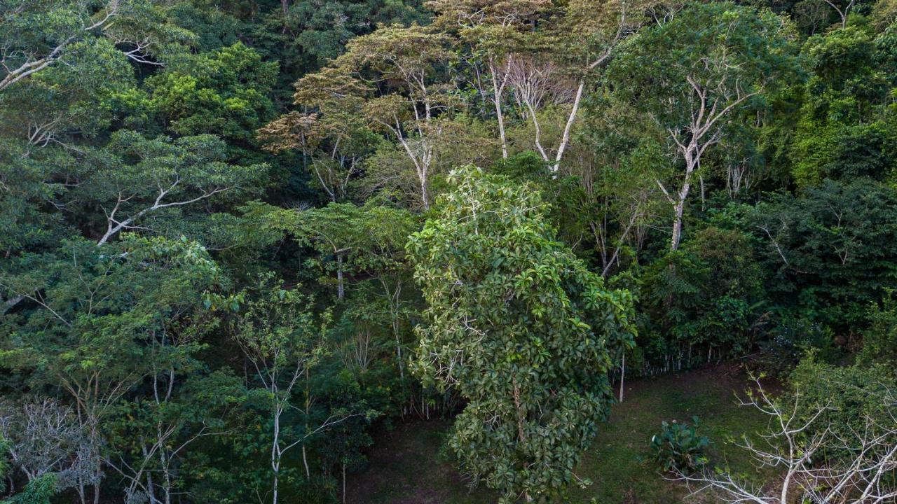 Shimiyacu Amazon Lodge Tarapoto Esterno foto