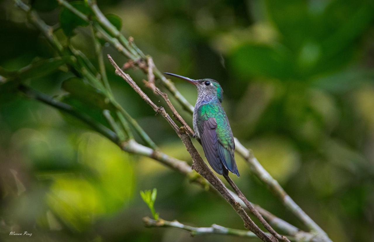 Shimiyacu Amazon Lodge Tarapoto Esterno foto
